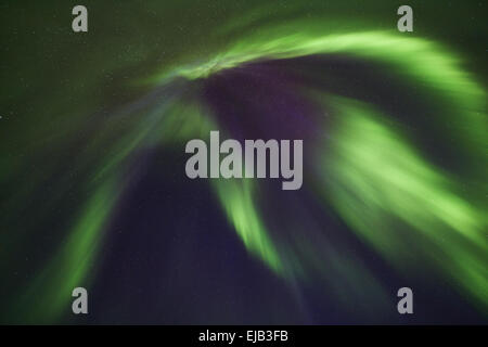 Nordlicht, koronalen Aurora, Lappland, Schweden Stockfoto