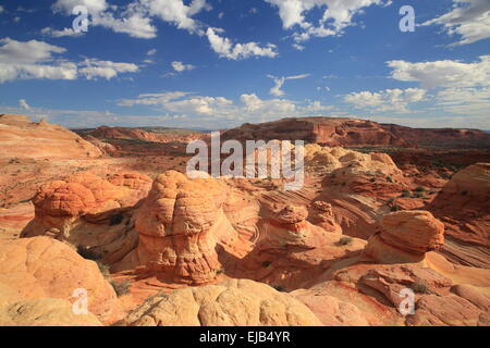 Coyote Buttes North die Welle Stockfoto