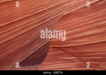 Coyote Buttes North die Welle Stockfoto