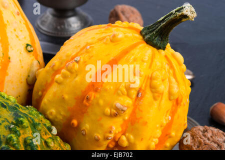 im Herbst Kürbisse Stockfoto