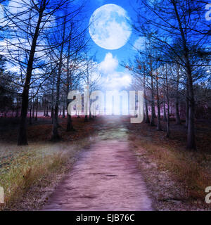 Vollmond und Wald Stockfoto