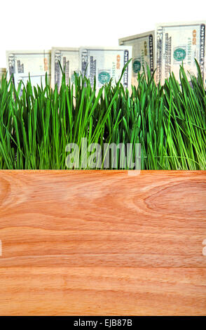 US-Dollar in den Rasen Stockfoto