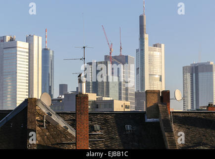 Skyline in Frankfurt/Main Stockfoto