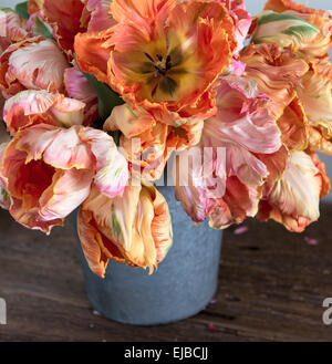 Apricot und Lachs-Papagei-Tulpen im bouquet Stockfoto