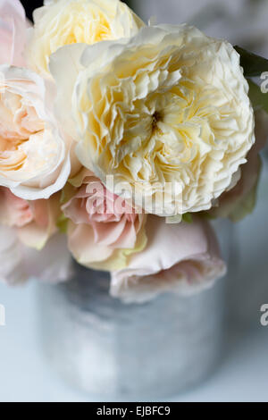 Bouquet von David Austin English rose Geduld mit anderen Englisch und Gartenrosen, fotografiert in Paris, Frankreich Stockfoto