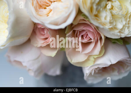 Bouquet von David Austin English rose Geduld mit anderen Englisch und Gartenrosen, fotografiert in Paris, Frankreich Stockfoto