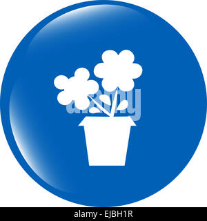 Web Blumenknöpfe für Website oder app isoliert auf weiss Stockfoto