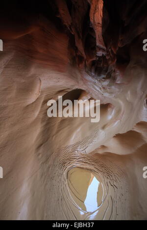 Dry Fork Canyon Grand Staircase-Escalante Stockfoto