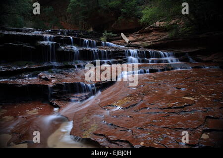 Kaskade am Virgin River durch die Narrows Canyon Stockfoto