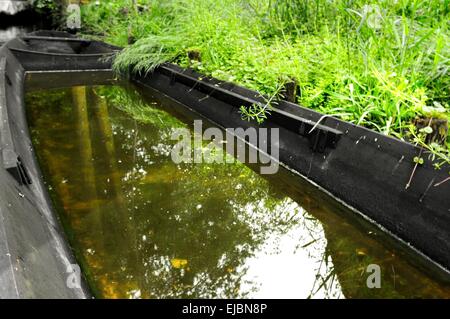 Spreewald-Boot vor dem Verfall geschützt Stockfoto