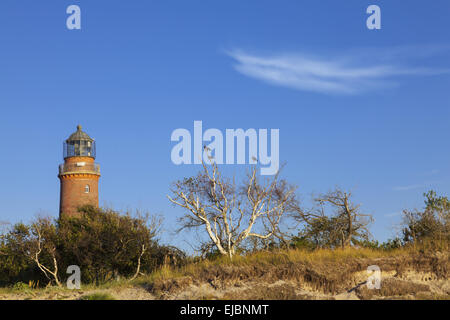 Leuchtturm Darßer Ort Stockfoto