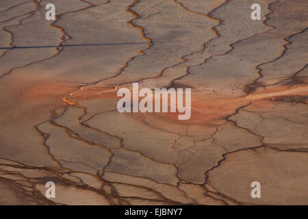 Grand Bildobjekte Spring Im Yellowstone National Par Stockfoto