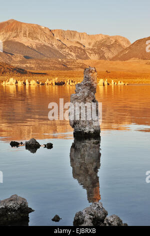 Mono Lake Stalagmiten Stockfoto