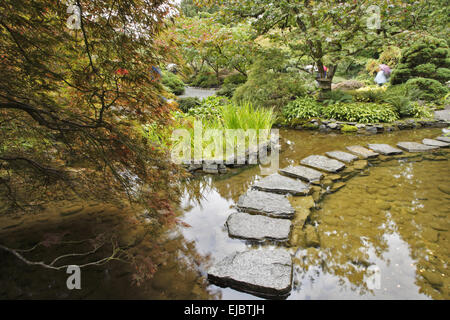 Japanischer Garten. Ein Stream und Pfad Stockfoto