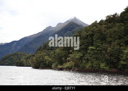 Zweifelhafte Ton Neuseeland Stockfoto