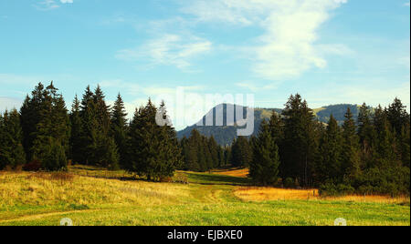 Hill Moor Oberjoch Bayern Deutschland Stockfoto