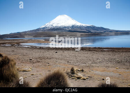 Lago Chungará mit Parinacota Stockfoto