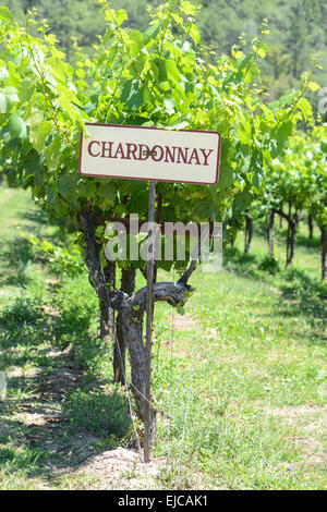 Chardonnay-Trauben-Zeichen Stockfoto