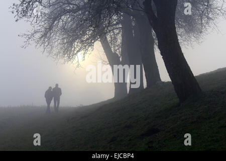 Spaziergang im Nebel Stockfoto