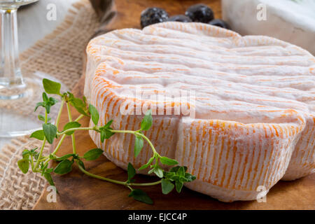 Käse-Platte Stockfoto