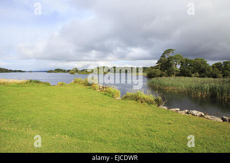 Ross Bay Lough Leane Untersee. Stockfoto