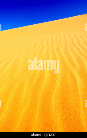 Eisen gefärbten Sand Coral Pink Sand Dunes State Park, Utah Stockfoto