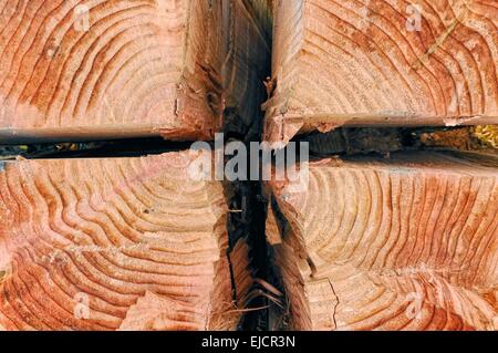 Kernholz Split von sequoia Stockfoto