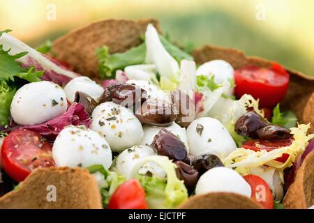 Salat mit Mozzarella-Käse Stockfoto