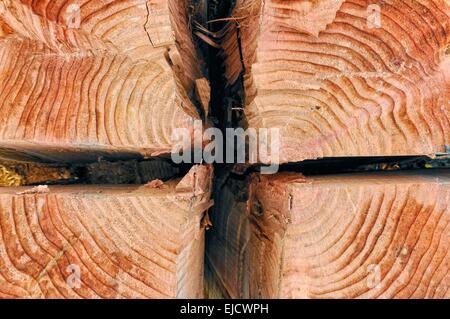 Split und geviertelten Holz aus der sequoia Stockfoto