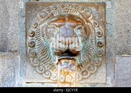 Lion Brunnen Luzern Schweiz Stockfoto