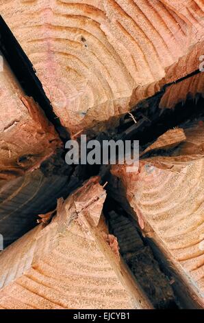 Split-Holz Stockfoto