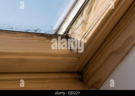 Form für Dachfenster Stockfoto