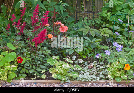 Detail des gemischten krautige und Strauch Grenze im englischen Garten mit kontrastierenden Farben und Formen von Laub und Blumen, Sommer Stockfoto