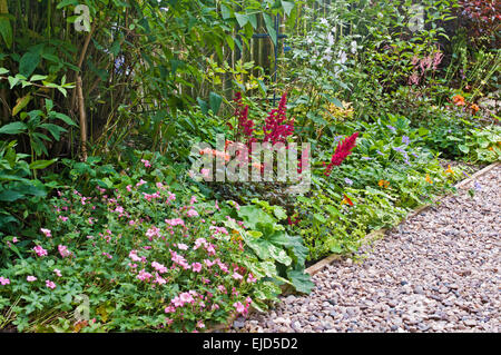Detail der schönen gemischten Stauden Beet mit kontrastierenden Sträucher und Blumen, neben Stein Weg, englischer Garten, Sommer Stockfoto