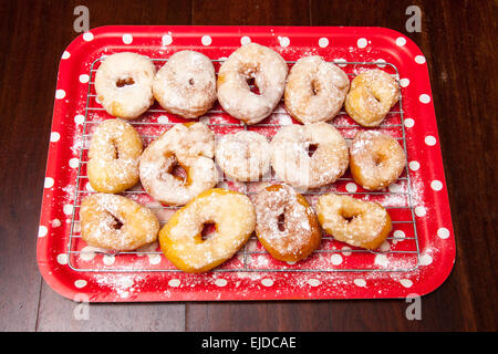 Frische hausgemachte Krapfen auf einem Kuchengitter abkühlen. Stockfoto