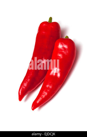 Spitzen Paprika isoliert auf einem weißen Studio-Hintergrund. Stockfoto