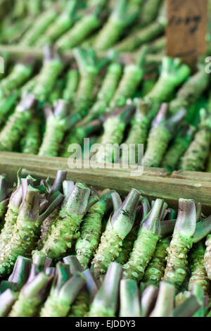 Wasabi-Wurzel in einem typischen japanischen Markt zu verkaufen Stockfoto