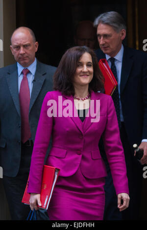 London, UK. 24. März 2015. Mitglieder des Kabinetts sammeln für ihre wöchentlichen Treffen in der Downing Street. Im Bild: Nordirland Sekretärin Theresa Villiers Credit: Paul Davey/Alamy Live-Nachrichten Stockfoto