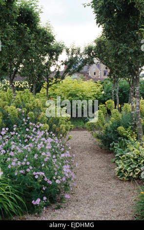 Campanula und Euphorbia Characias' auf beiden Seiten der Kiesweg im großen Bauerngarten im Sommer Stockfoto