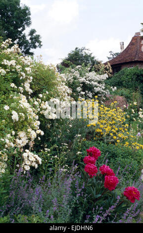 Tief rosa Pfingstrosen und weißen Rosen mit blaue Katzenminze in großen krautigen Grenze im Bauerngarten Stockfoto