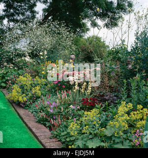 Lindgrün Alchemilla Mollis mit rosa Pfingstrosen im Grenze mit hohen Krambe im großen Bauerngarten im Sommer Stockfoto