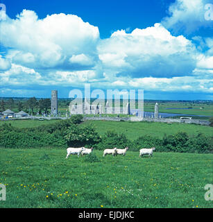 Ruinen von Clonmacnoise neben Fluss Shannon, County Offaly, Irland Stockfoto