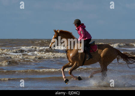 Ainsdale, Southport, Großbritannien. 24. März 2015. UK Wetter: strahlend sonnigen Tag und eine seltene Flut kommt in Southport Strand als Besucher der Strand eine Reihe von Aktivitäten genießen. Rawtenstall showjumper Rachael Connor mit ihrem Pferd "wilfred" GALOPPIEREN an der Küste Stockfoto