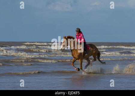 Ainsdale, Southport, Großbritannien. 24. März 2015. UK Wetter: strahlend sonnigen Tag und Sehr seltene Flut kommt in Southport Strand als Besucher der Strand eine Reihe von Aktivitäten genießen. Rawtenstall showjumper Rachael Connor mit ihrem Pferd "wilfred" GALOPPIEREN an der Küste. Stockfoto