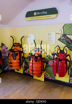 Staten Sie Island Children es Museum in New York City Stockfoto