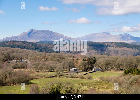 Blick über Ackerland Moel Siabod und Berge in der Ferne im Snowdonia National Park von Capel Geerken North Wales UK Stockfoto