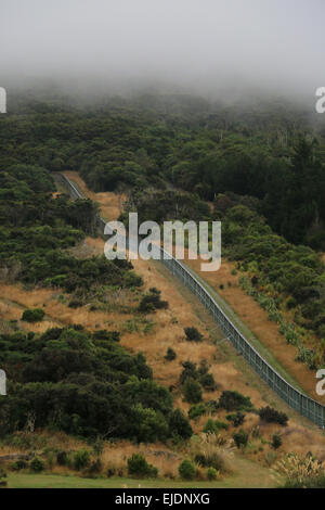 Orokonui Ecosanctuary Park New Zealand, Dunedin Orokonui Tal Waitati Stockfoto