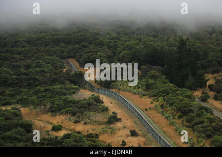 Orokonui Ecosanctuary Park New Zealand, Dunedin Orokonui Tal Waitati Stockfoto