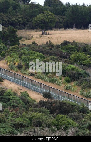 Orokonui Ecosanctuary Park New Zealand, Dunedin Orokonui Tal Waitati Stockfoto