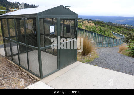 Orokonui Ecosanctuary Park New Zealand, Dunedin Orokonui Tal Waitati Stockfoto